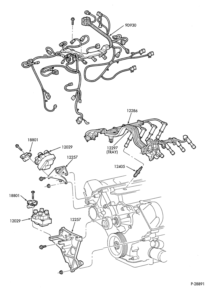 Схема DISTRIBUTOR AND IGNITION SYSTEM-Ignition wiring and related parts - 8 cyl. 4.6L