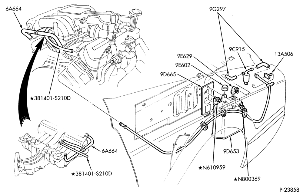 Схема 8 CYL. 5.0L-Fuel vapor canister and related parts
