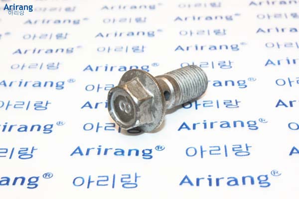 ARIRANG ARG171703 Болт крепления шланга М10х31х1 Hyundai, Kia
