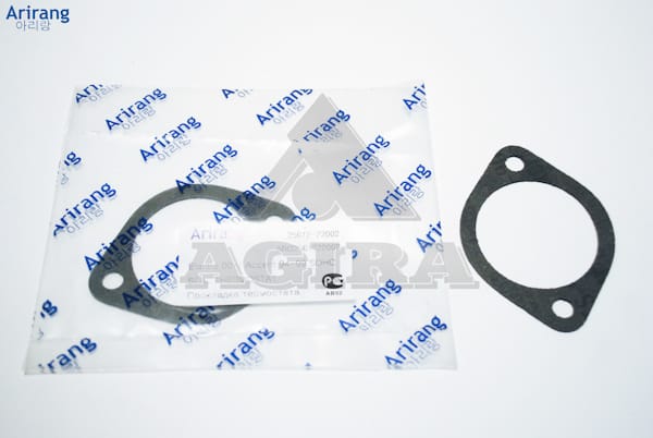 ARIRANG ARG181985 Прокладка термостата Hyundai (Elantra 00-, Accent 94-99) SOHC