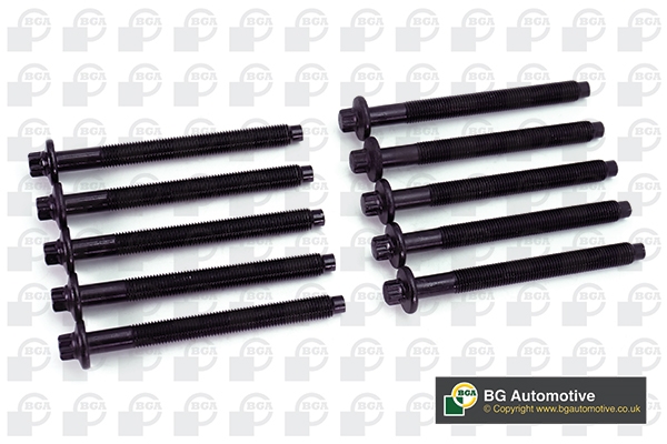 BGA BK4334 Комплект болтов ГБЦ CITROEN BERLINGO, C4 PICASSO / FIAT DUCATO, SCUDO / FORD FOCUS II, C-MAX / LAND ROVER DISCOVERY / PEUGEOT 206, 207, 306, 308 2.0/2.2TDCI 98-19