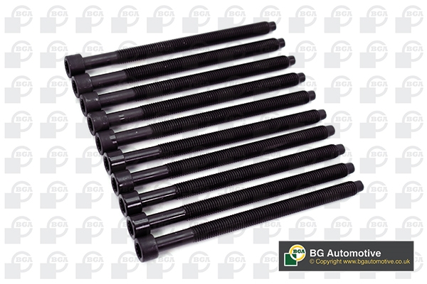 BGA BK4365 Комплект болтов ГБЦ AUDI A3, A4, A6 / FORD GALAXY / SEAT IBIZA, LEON / SKODA FABIA, OCTAVIA / VW BORA, CADDY, GOLF, JETTA, PASSAT, SHARAN, TRANSPORTER 1.9/2.0TDI 95-11