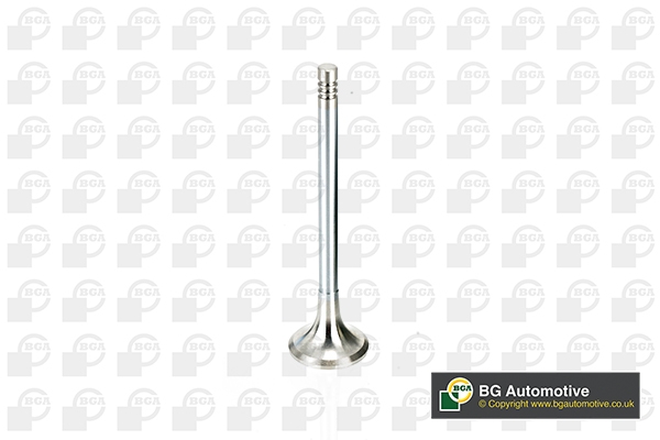 BGA V165961 Клапан двигателя выпускной [25x6x95] CITROEN C5/C6/C8/FORD MONDEO IV/PEUGEOT 407/607/807 2.2HDI 06-