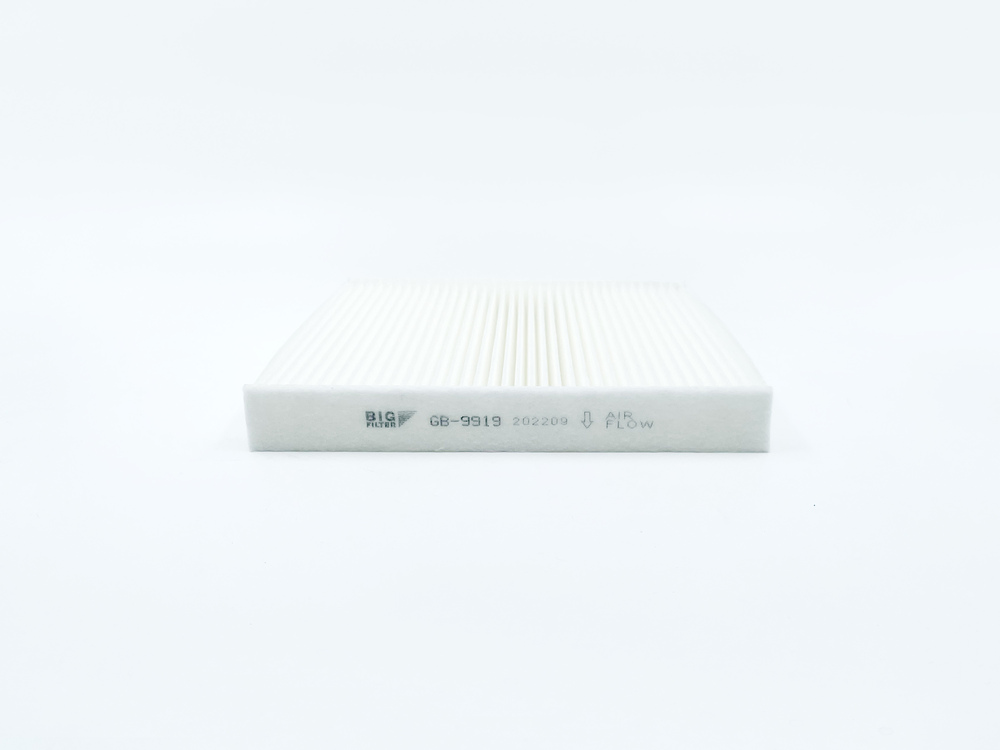 BIG FILTER GB9919 Фильтр салонный GB-9919