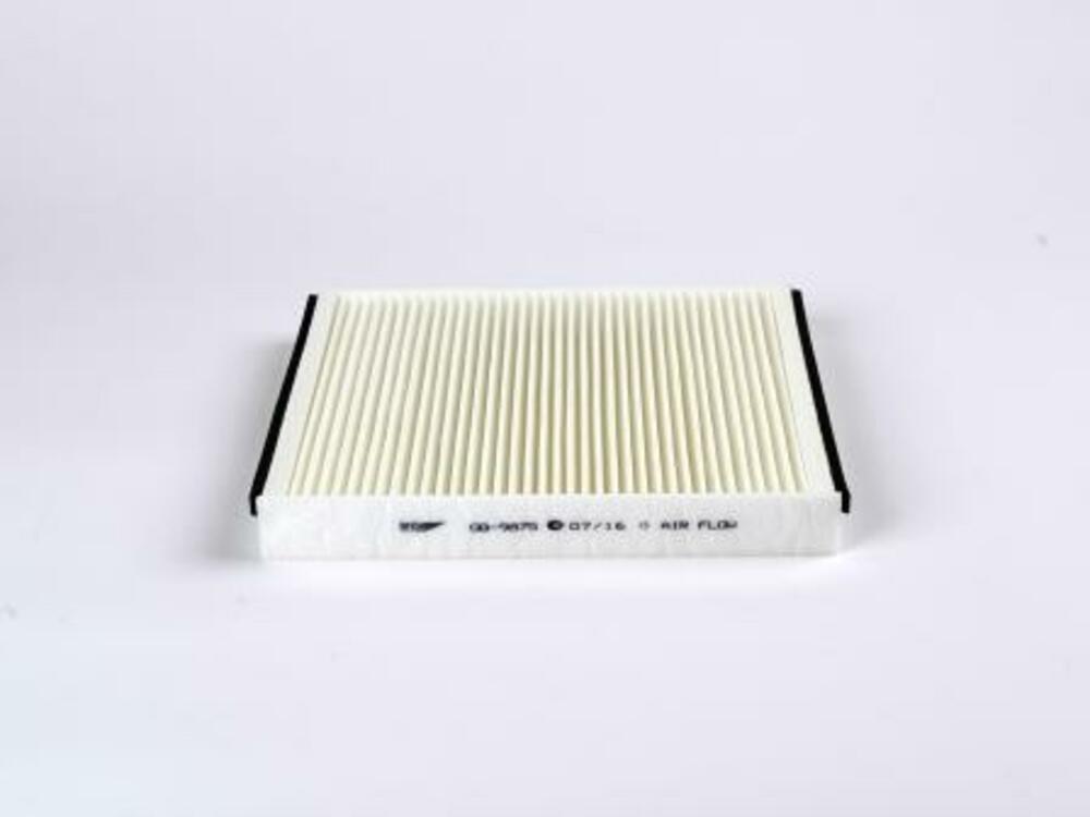 BIG FILTER GB9875 Фильтр салона