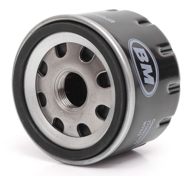 BM-MOTORSPORT FO5406 Фильтр масляный LADA LARGUS, MANN, OPEL, MAZDA, SU