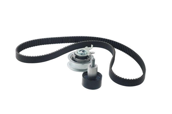 BORSEHUNG B10210 Комплект грм