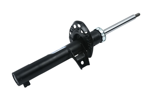 BORSEHUNG B12137 Амортизатор передн. GAS