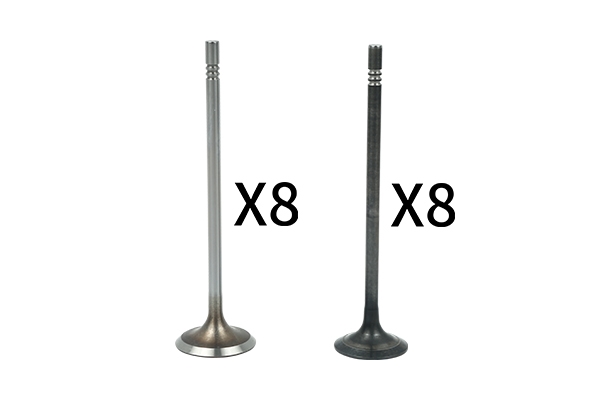 BORSEHUNG B18631 Комплект клапанов 8+8
