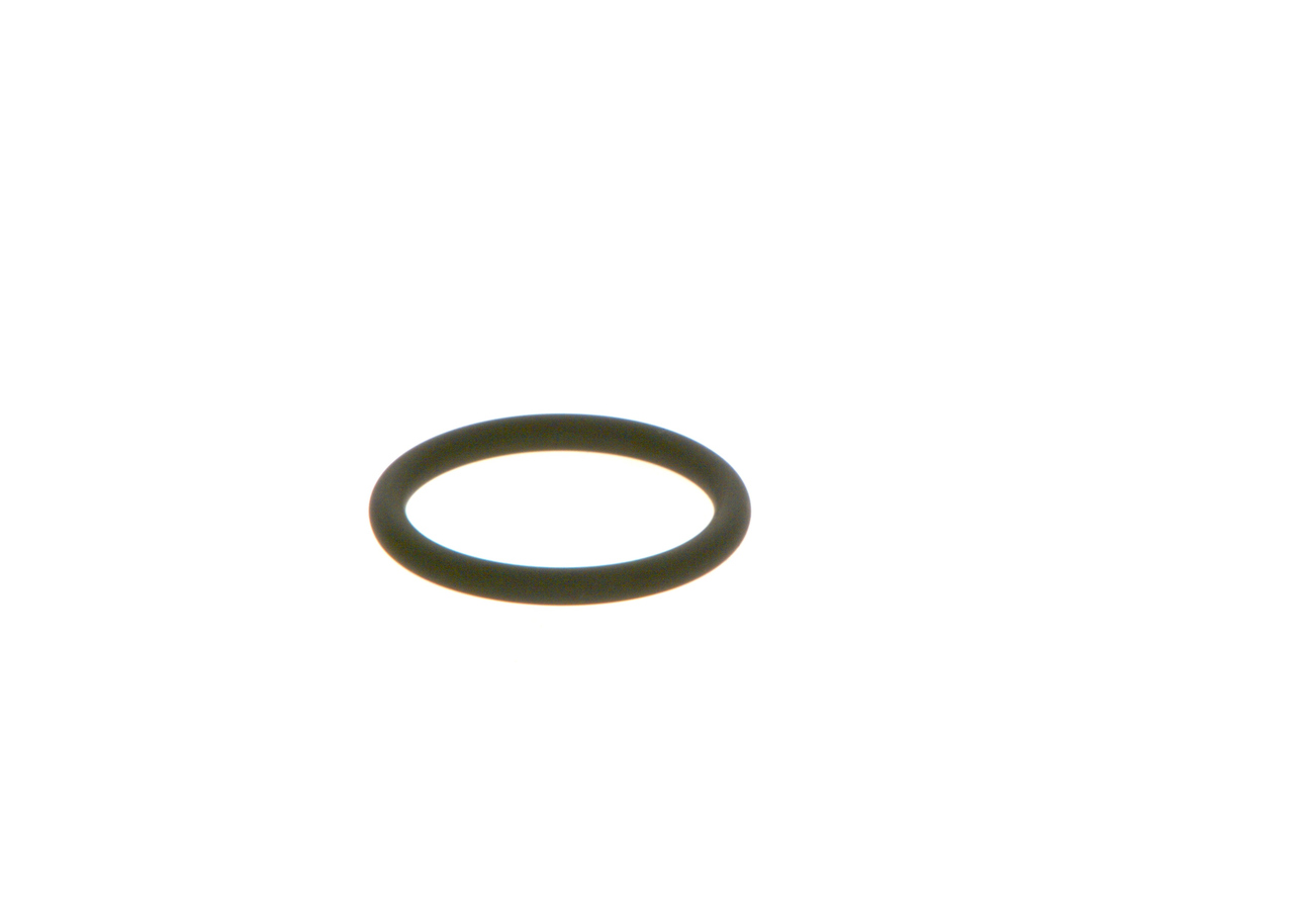 BOSCH F00RJ00534 Уплотнительное кольцо
