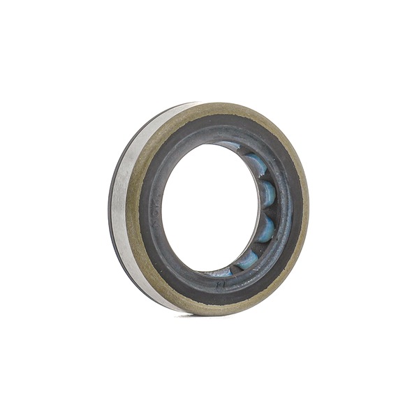 BOSCH H146601070 Сальник ТНВД 20x31x7