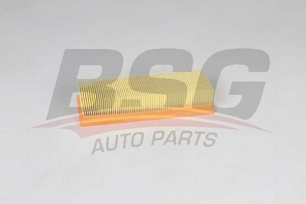 BSG AUTO PARTS BSG25135006 Фильтр воздушный RENAULT DUSTER/LADA VESTA 1.6