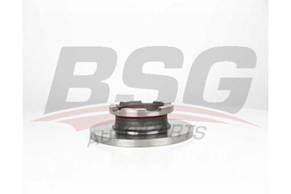 BSG AUTO PARTS BSG30210044 BRAKE DISC REAR