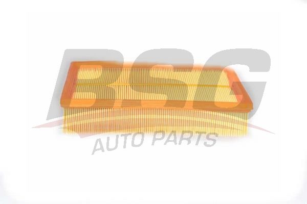 BSG AUTO PARTS BSG75135004 Фильтр воздушный RENAULT MASTER/OPEL MOVANO 2.3D 10-