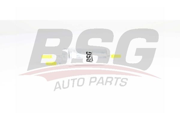 BSG AUTO PARTS BSG90130019 Фильтр топливный VAG POLO/GOLF/CADDY/FABIA/A2/A3 99-