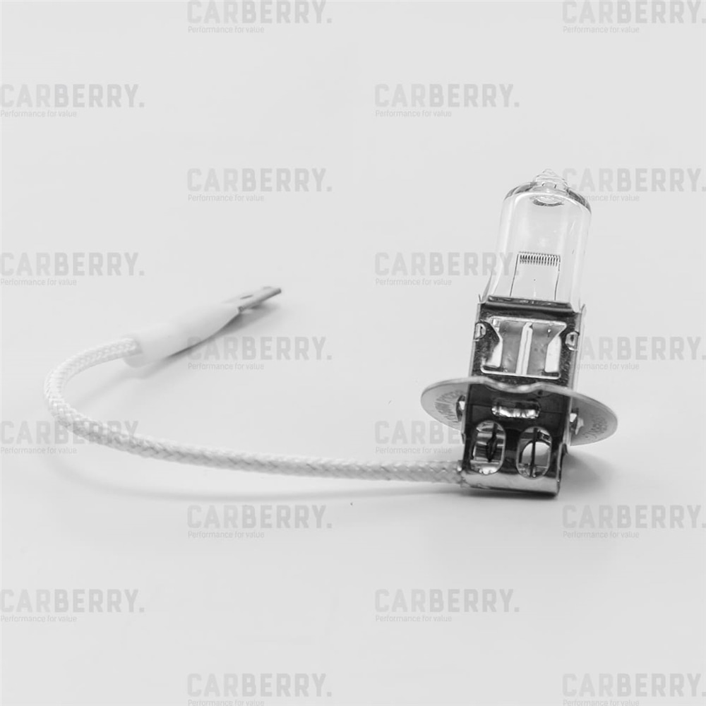 CARBERRY 31CA12 Лампа Н3 12V (55W) Day&Night
