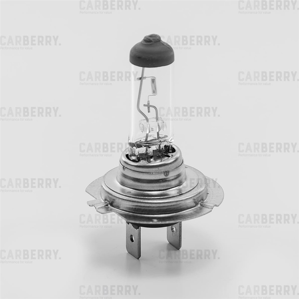 CARBERRY 31CA13 Лампа Н7 12V (55W) Day&Night