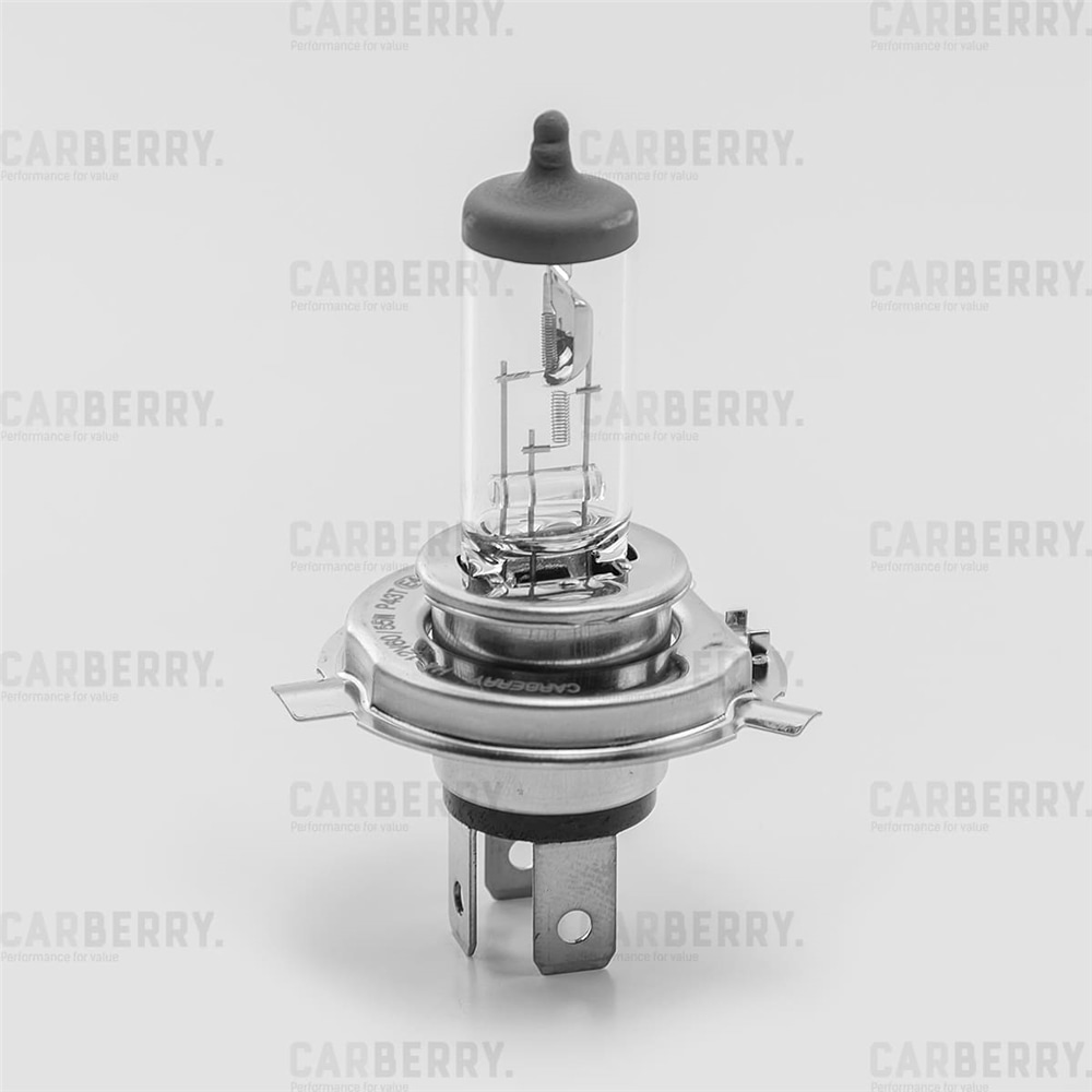 CARBERRY 31CA7 Лампа H4 12V (60/55W) Day&Night