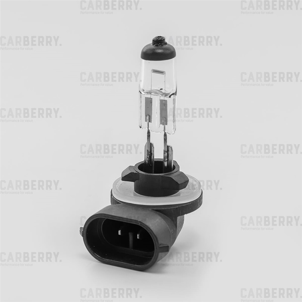 CARBERRY 31CA9 Лампа H27W/2 12V (27W) Day&Night