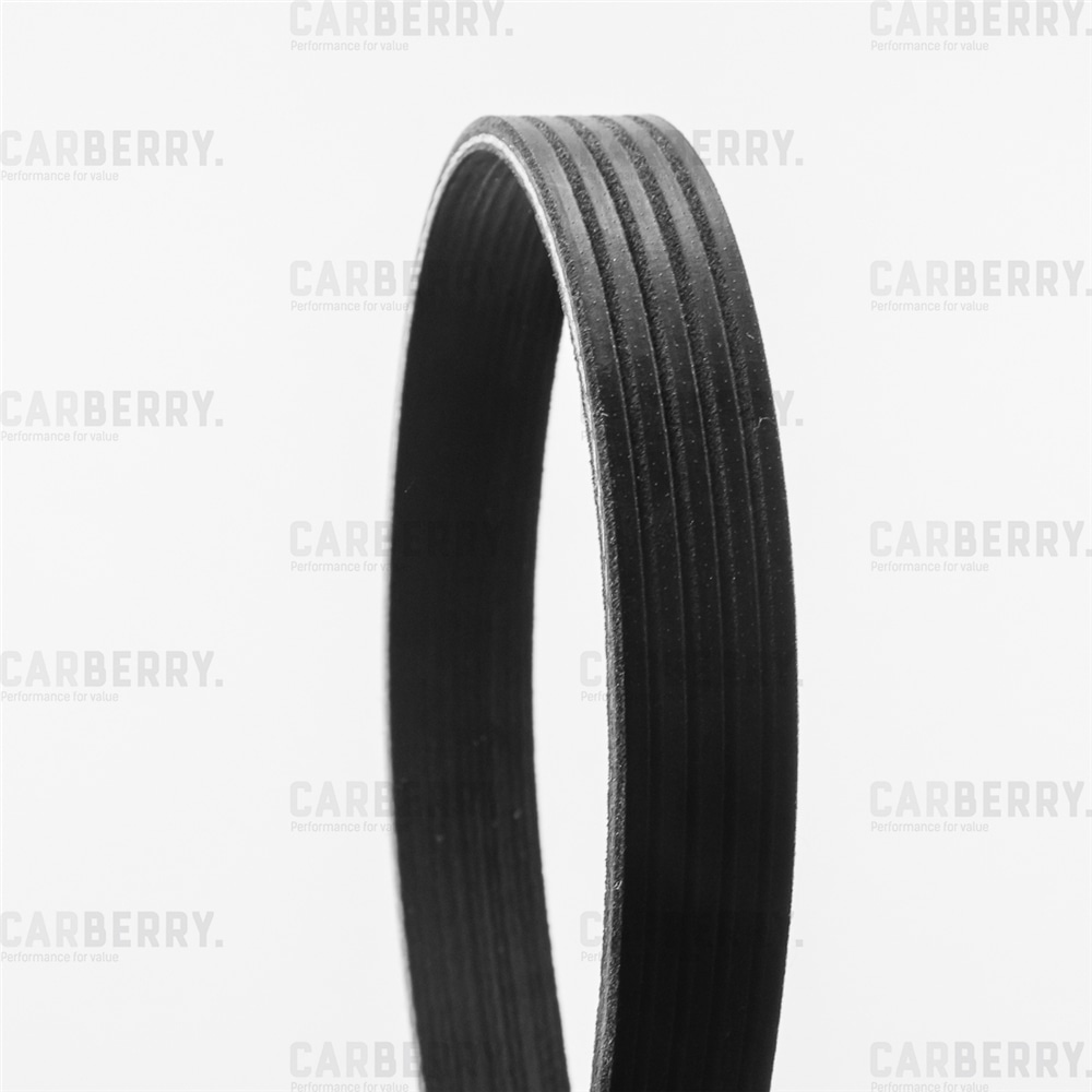 CARBERRY 5PK1355 Ремень поликлиновой