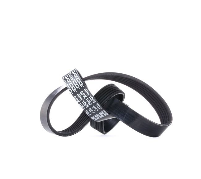 DAYCO 6PK1053 Ремень поликлиновой VW PASSAT B6 (3C2)