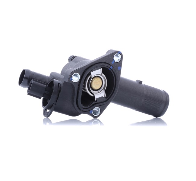 DAYCO DT1075F Термостат