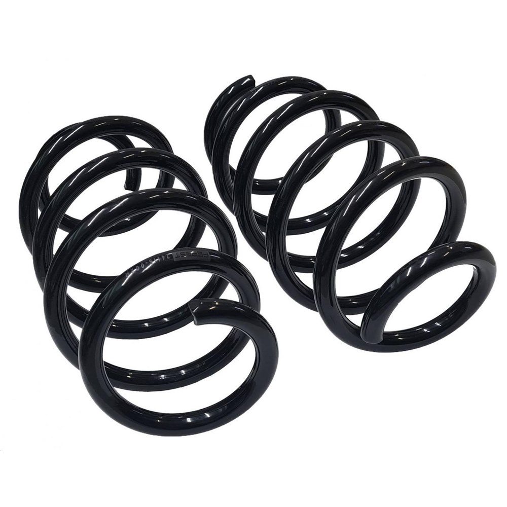 FEBEST 42115002R Пружина задняя