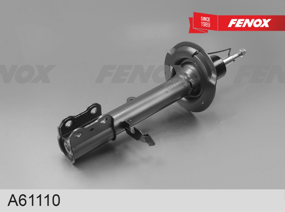 FENOX A61110 Амортизатор CHERY TIGGO 4 17- пер.прав.газ.