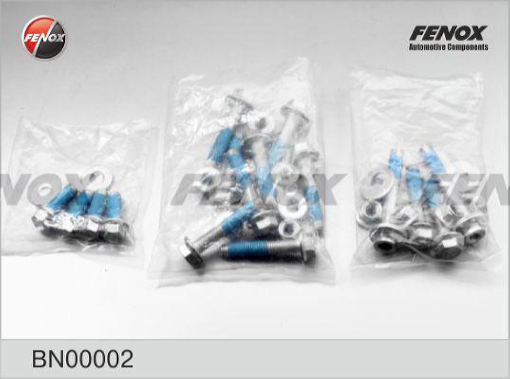 FENOX BN00002 Болт рычага (к-т) FORD FOCUS I/II 98- зад.