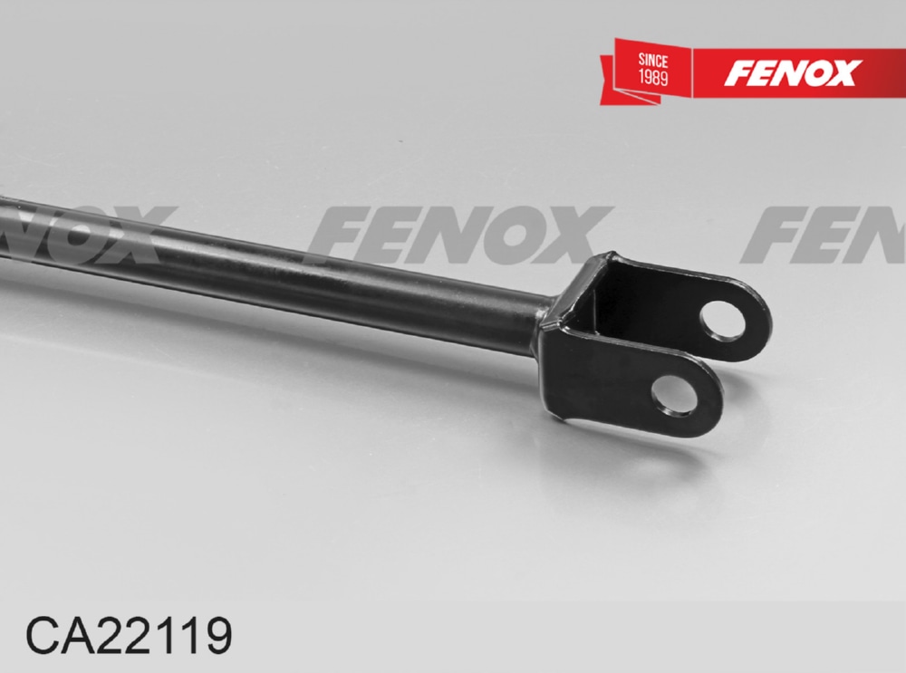 FENOX CA22119 РЫЧАГ ПОДВЕСКИ