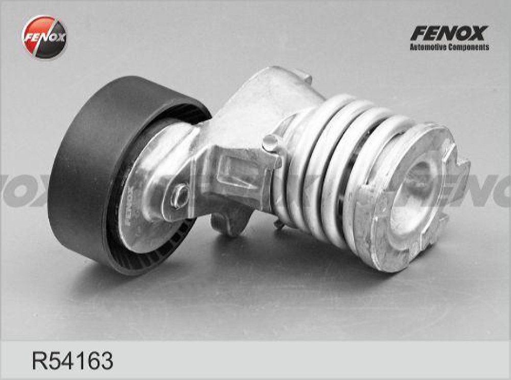 FENOX R54163 Натяжитель поликлинового ремня Seat Cordoba 02-09, Ibiza 02-, Toledo 12-, Skoda Fabia 01-, Rapid 12-