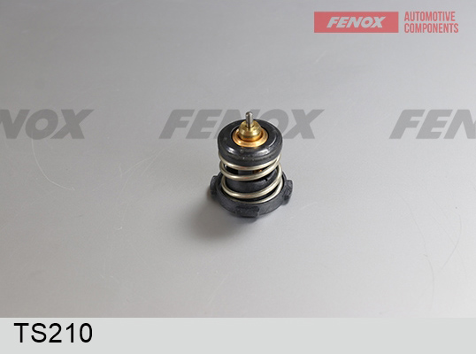 FENOX TS210 Термостат