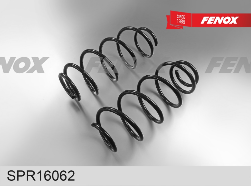 FENOX SPR16062 Пружина передняя