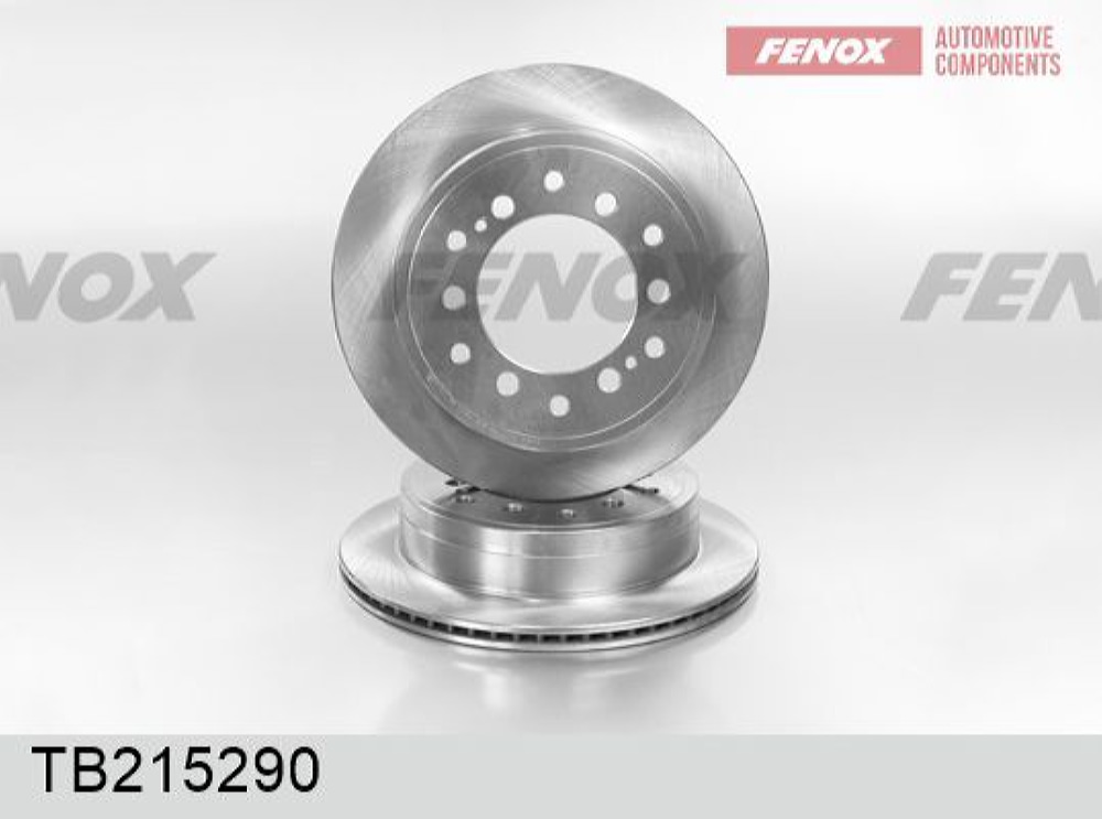 FENOX TB215290 Диск тормозной | зад |