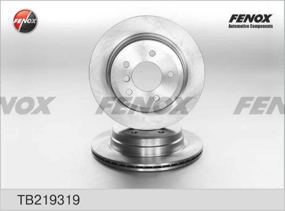 FENOX TB219319 Диск тормозной BMW (E90) 05-