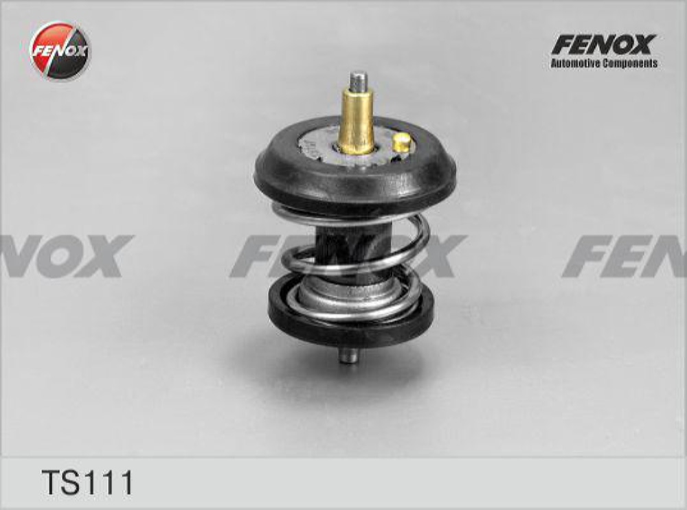 FENOX TS111 Термостат VAG A3/A4/PASSAT/OCTAVIA/YETI/AMAROK/Q5 1.8T/2.0T 04-