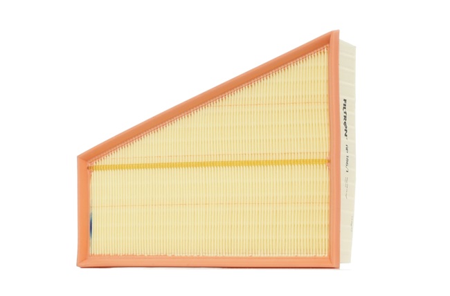 FILTRON AP1861 Фильтр воздушный