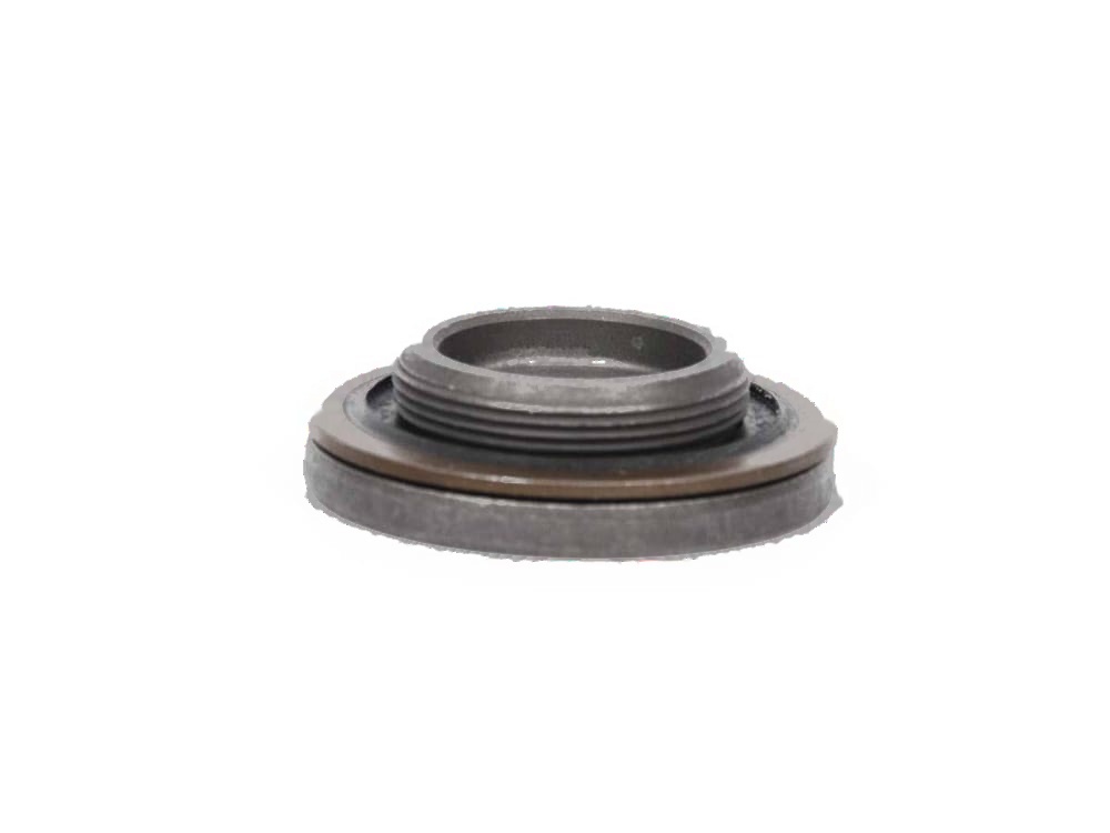 FORD 1345739 Крышка болта муфты распредвала VCT