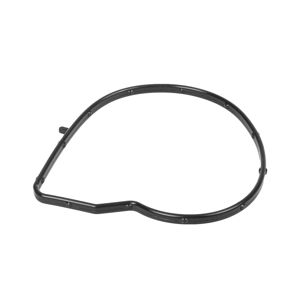 GANZ GIE11170 Прокладка водяного насоса BMW 1(F20/F21) 1.6 12 / 3(F30) 1.6 12, CITROEN B GANZ GIE11170