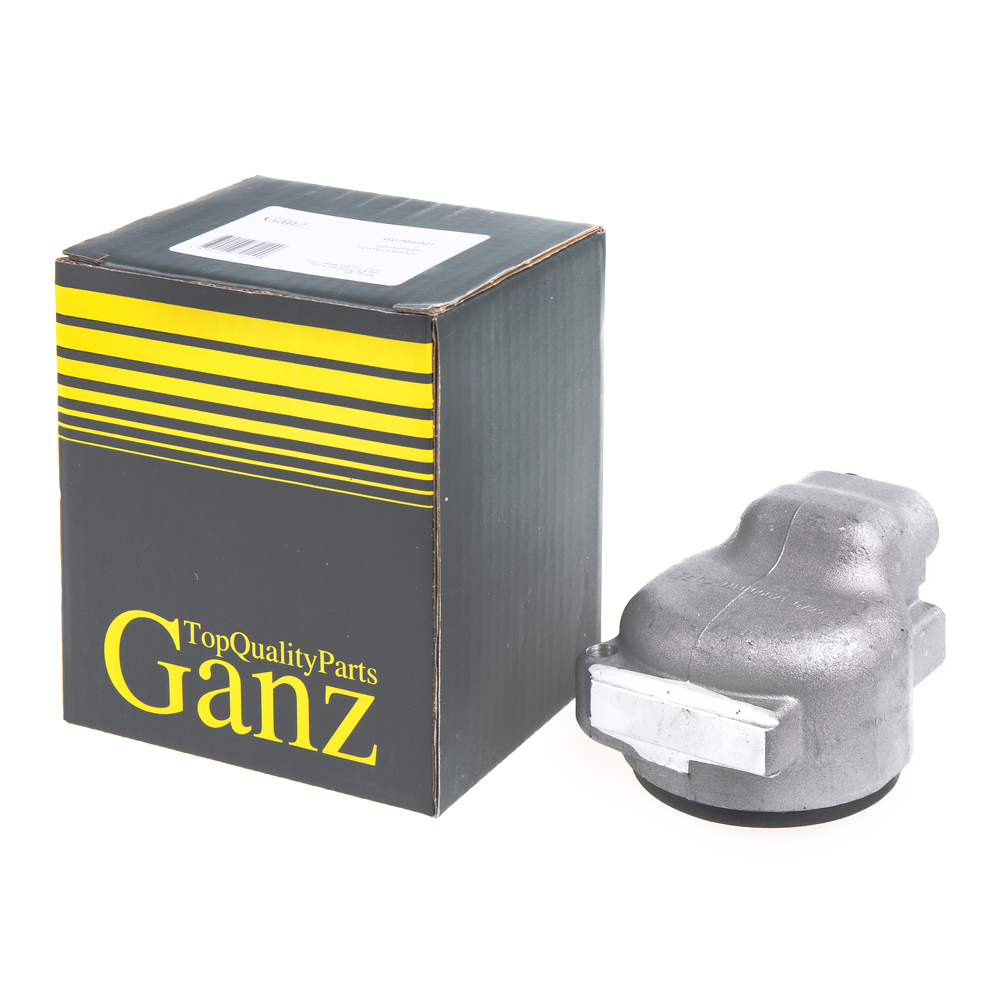 GANZ GUJ05021 Цилиндр перед.торм прав.внешн.