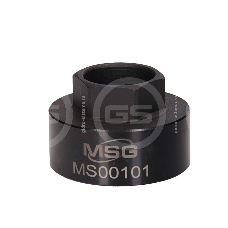 GS MS00101 