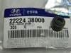 HYUNDAI-KIA 2222438000 Колпачок маслосъемный [ORG]