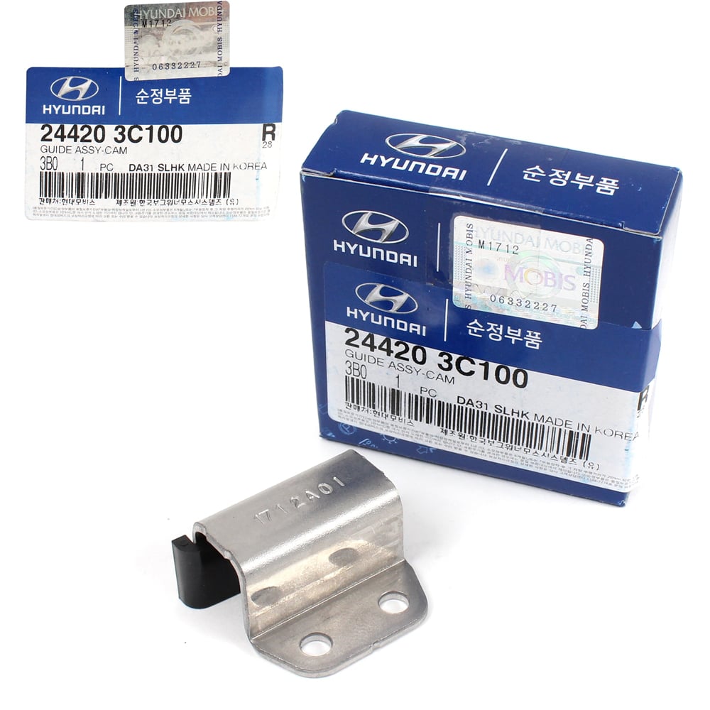 HYUNDAI-KIA 244203C100 Успокоитель цепи ГРМ ВЕРХН ЛЕВ/ПРАВ