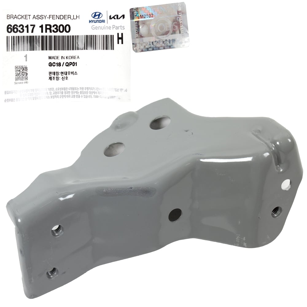 HYUNDAI-KIA 663171R300 Кронштейн крепления крыла