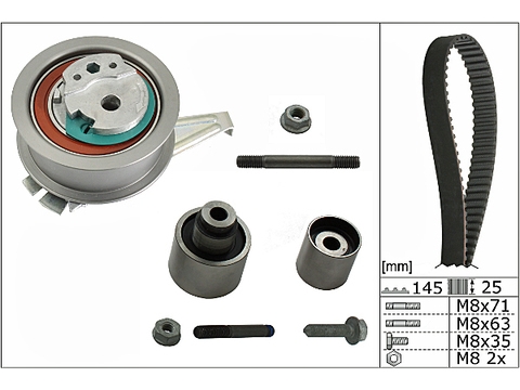 INA 530069910 Комплект ремня ГРМ