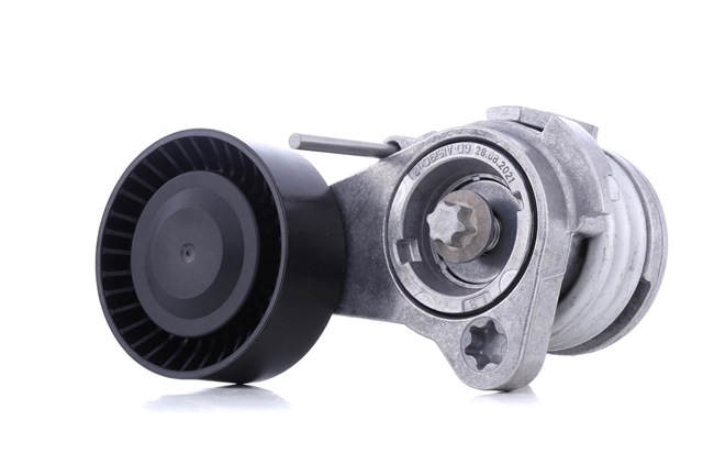 INA 534025210 Натяжитель ремня BMW E60 534025210