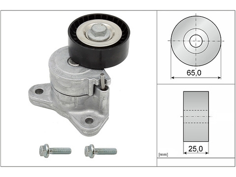 INA 534032510 Ролик приводного ремня Citroen C-Crosser. Peugeot 4007 2.4i 16V 06>