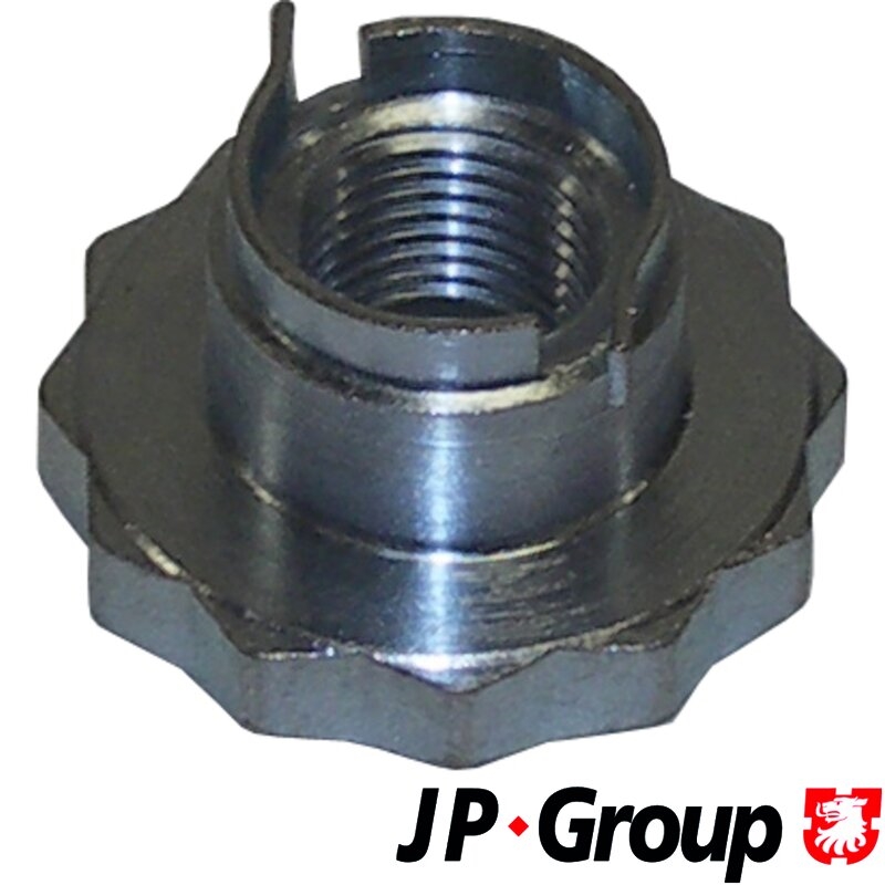 JP GROUP 1101100300 Гайка ступичная