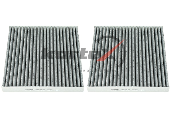 KORTEX KC0179S Фильтр салонный BMW X3 F25 (к-т 2шт)(угольный)