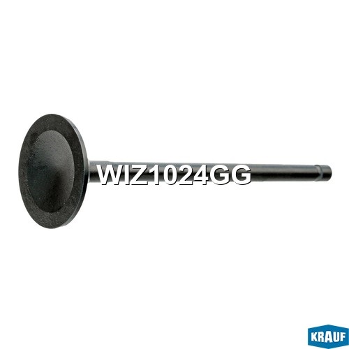 KRAUF WIZ1024GG Клапан впускной